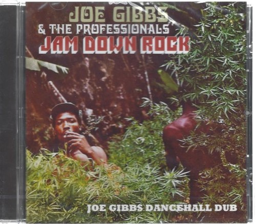 Joe gibbs the professionals - gibbs,