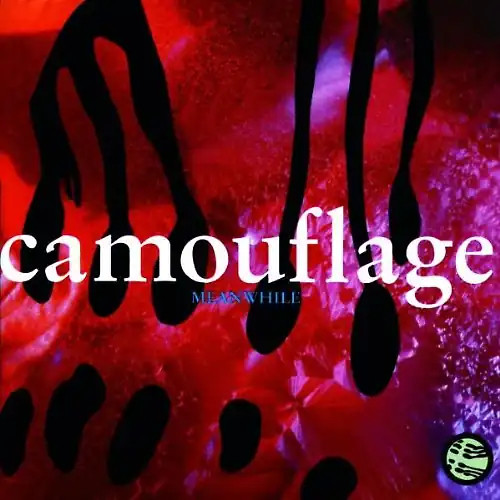 Camouflage meanwhile - camouflage,
