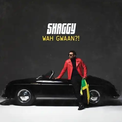 Shaggy wah gwaan - -,